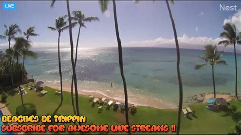 【LIVE】 Live Cam Maui